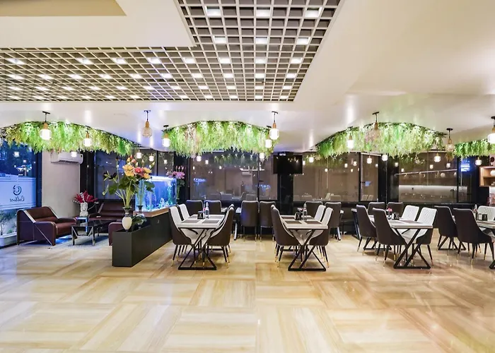 Hotel Grand Sun Plaza Embassy And Airport Drop